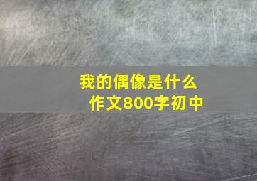 我的偶像是什么作文800字初中