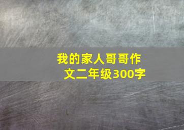 我的家人哥哥作文二年级300字