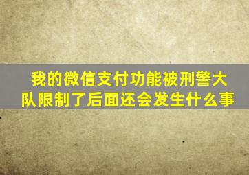 我的微信支付功能被刑警大队限制了后面还会发生什么事