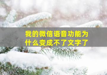 我的微信语音功能为什么变成不了文字了