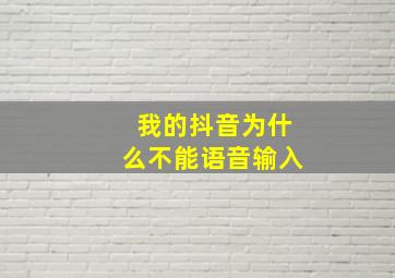 我的抖音为什么不能语音输入