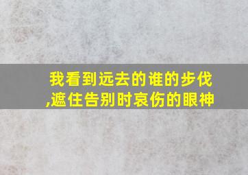 我看到远去的谁的步伐,遮住告别时哀伤的眼神