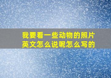 我要看一些动物的照片英文怎么说呢怎么写的