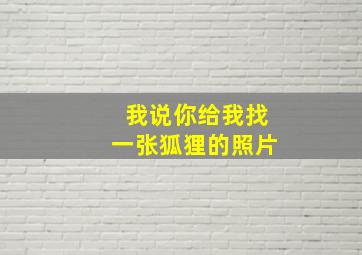 我说你给我找一张狐狸的照片