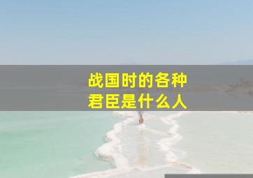 战国时的各种君臣是什么人