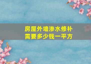 房屋外墙渗水修补需要多少钱一平方