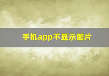 手机app不显示图片