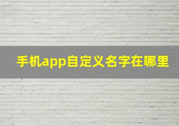 手机app自定义名字在哪里