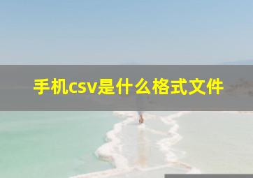 手机csv是什么格式文件