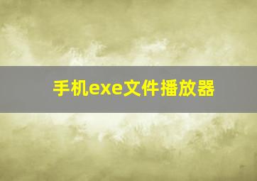 手机exe文件播放器