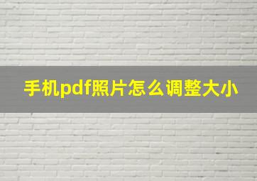 手机pdf照片怎么调整大小