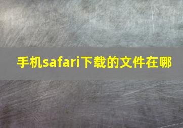 手机safari下载的文件在哪