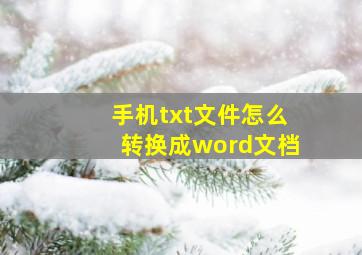 手机txt文件怎么转换成word文档