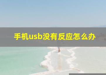 手机usb没有反应怎么办