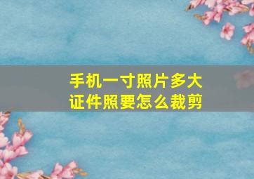 手机一寸照片多大证件照要怎么裁剪