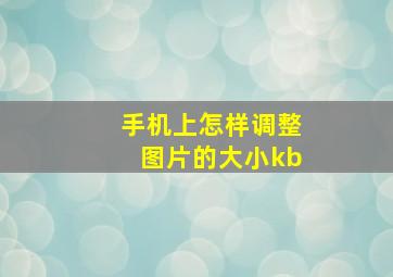 手机上怎样调整图片的大小kb