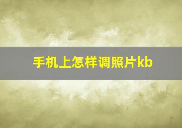 手机上怎样调照片kb