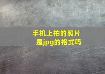 手机上拍的照片是jpg的格式吗