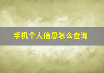 手机个人信息怎么查询