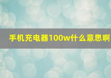 手机充电器100w什么意思啊