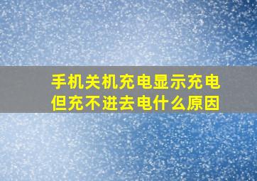 手机关机充电显示充电但充不进去电什么原因