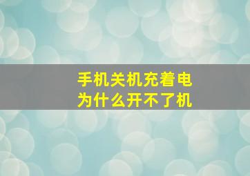 手机关机充着电为什么开不了机