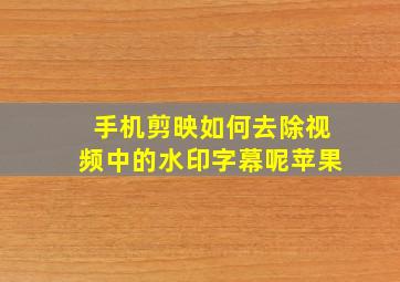 手机剪映如何去除视频中的水印字幕呢苹果