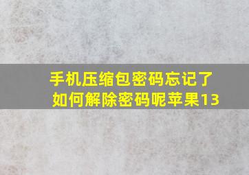 手机压缩包密码忘记了如何解除密码呢苹果13