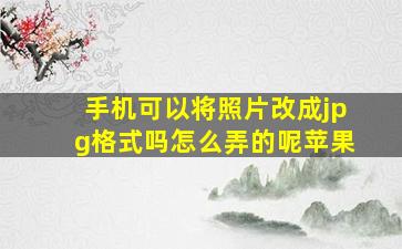 手机可以将照片改成jpg格式吗怎么弄的呢苹果