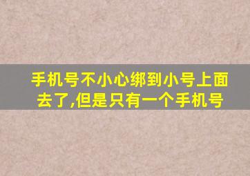 手机号不小心绑到小号上面去了,但是只有一个手机号