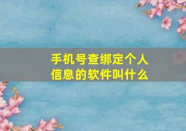 手机号查绑定个人信息的软件叫什么