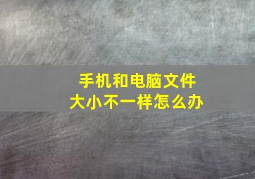 手机和电脑文件大小不一样怎么办