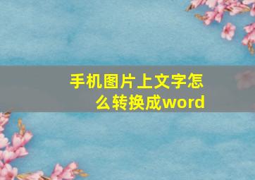 手机图片上文字怎么转换成word