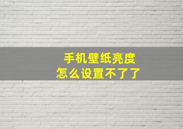 手机壁纸亮度怎么设置不了了