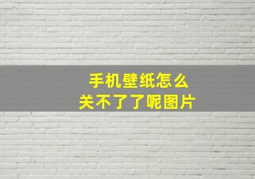 手机壁纸怎么关不了了呢图片