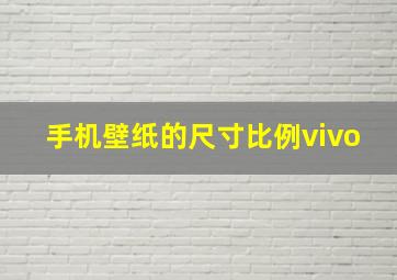 手机壁纸的尺寸比例vivo