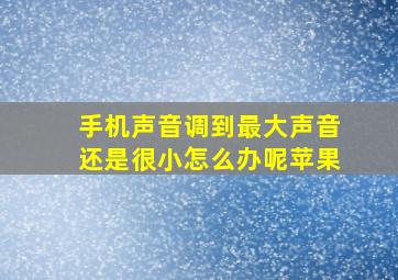 手机声音调到最大声音还是很小怎么办呢苹果