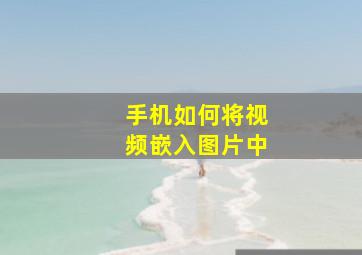 手机如何将视频嵌入图片中