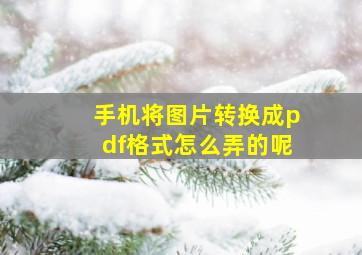 手机将图片转换成pdf格式怎么弄的呢