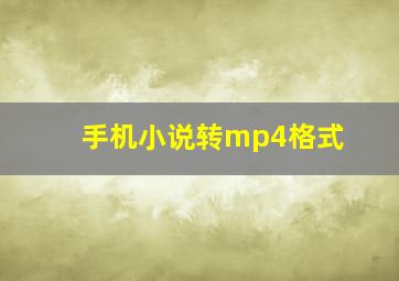 手机小说转mp4格式