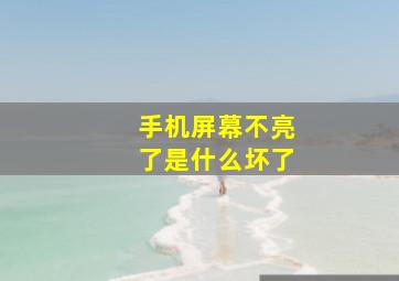 手机屏幕不亮了是什么坏了