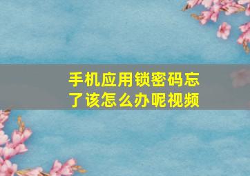 手机应用锁密码忘了该怎么办呢视频