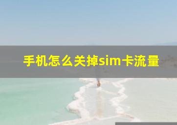 手机怎么关掉sim卡流量