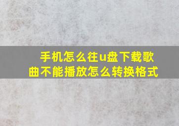 手机怎么往u盘下载歌曲不能播放怎么转换格式