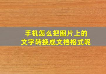 手机怎么把图片上的文字转换成文档格式呢