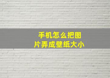 手机怎么把图片弄成壁纸大小