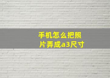 手机怎么把照片弄成a3尺寸