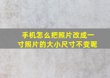 手机怎么把照片改成一寸照片的大小尺寸不变呢