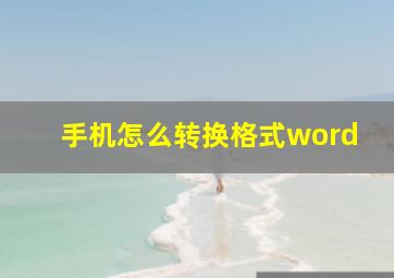 手机怎么转换格式word