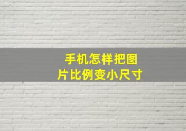 手机怎样把图片比例变小尺寸